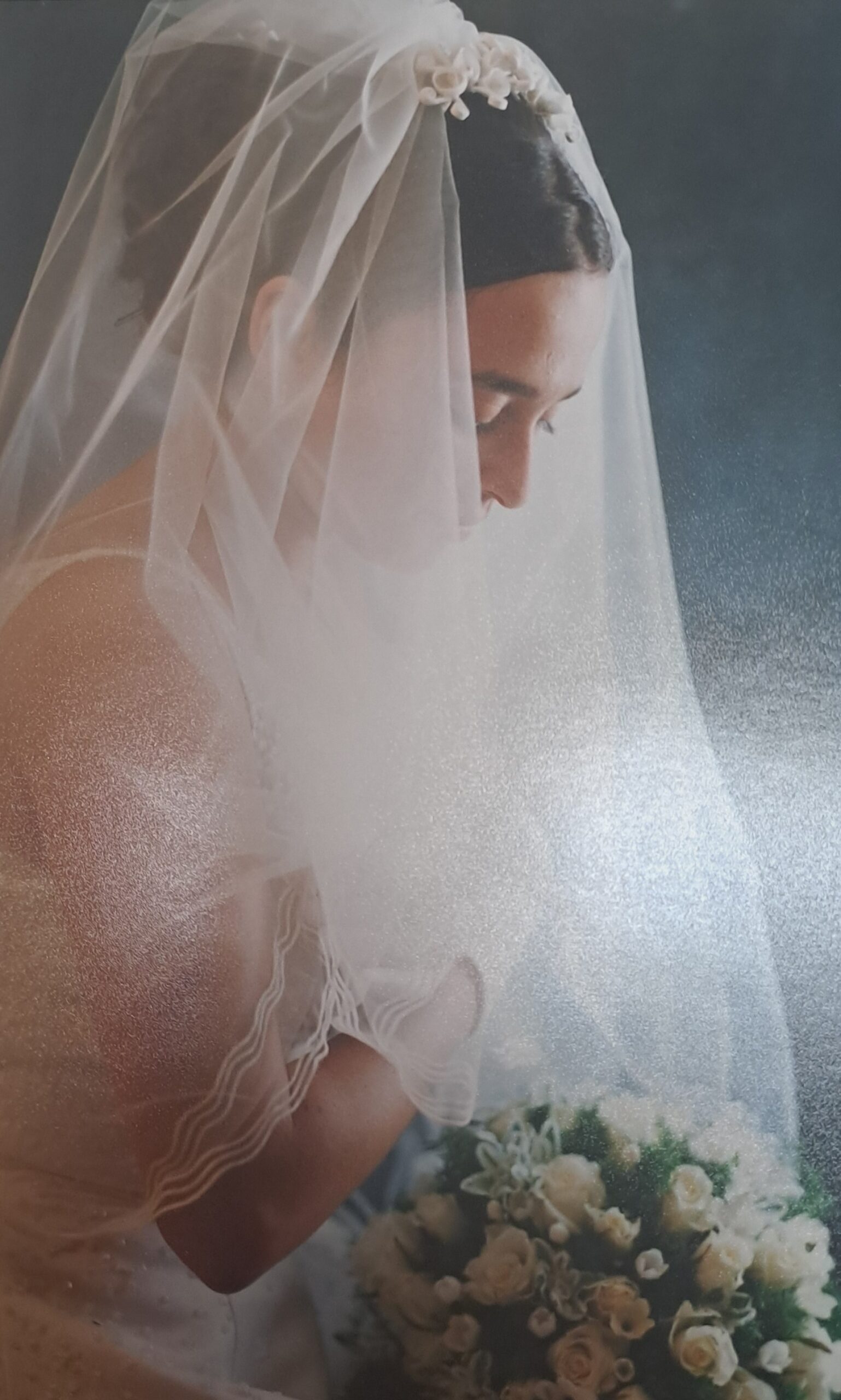 Vestido La Sposa 7
