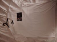 T shirt (por estrear) 1